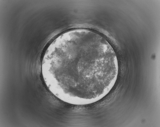 X0000116831221201001151219