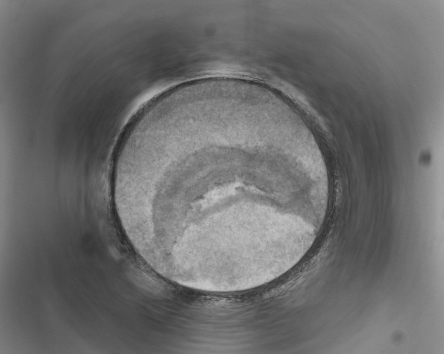 X0000116831222201001151219