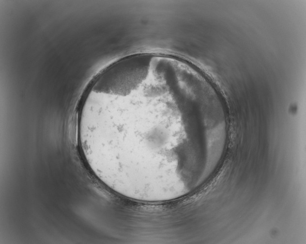 X0000116831223201001151219