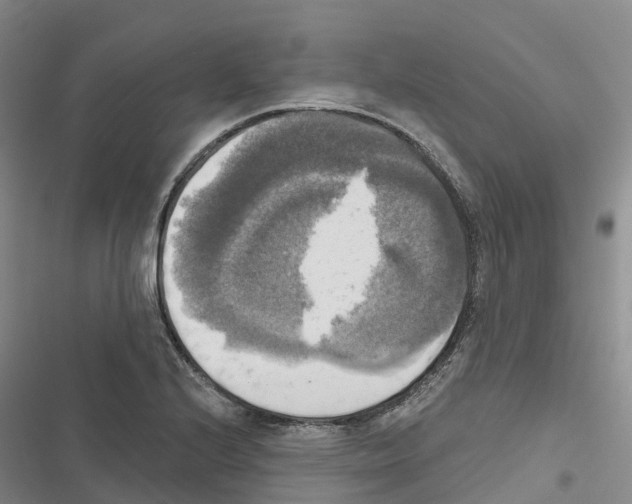 X0000116831224201001151219