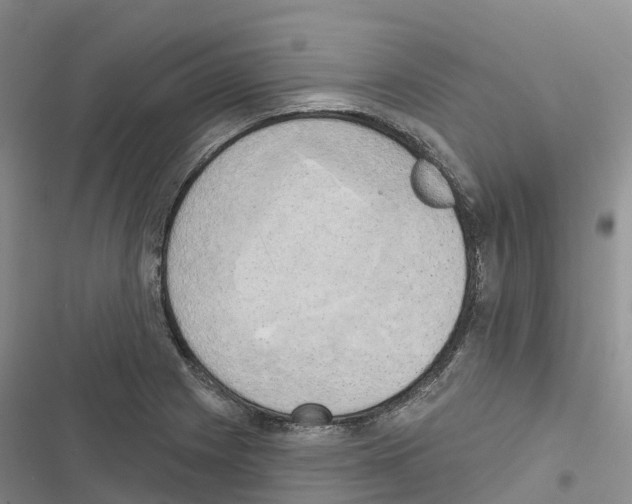 X0000116831225201001151219