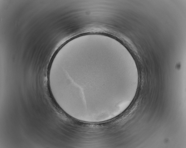 X0000116831226201001151219