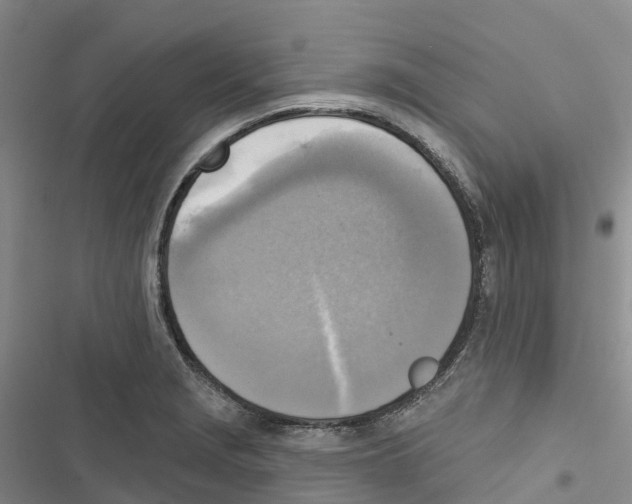 X0000116831229201001151219