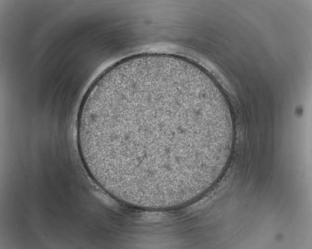 X0000116831232201001151219