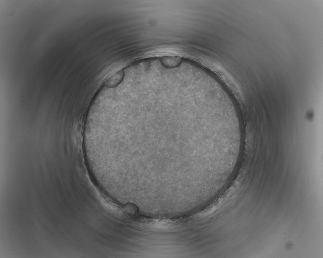 X0000116831233201001151219