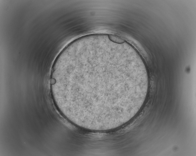 X0000116831236201001151219