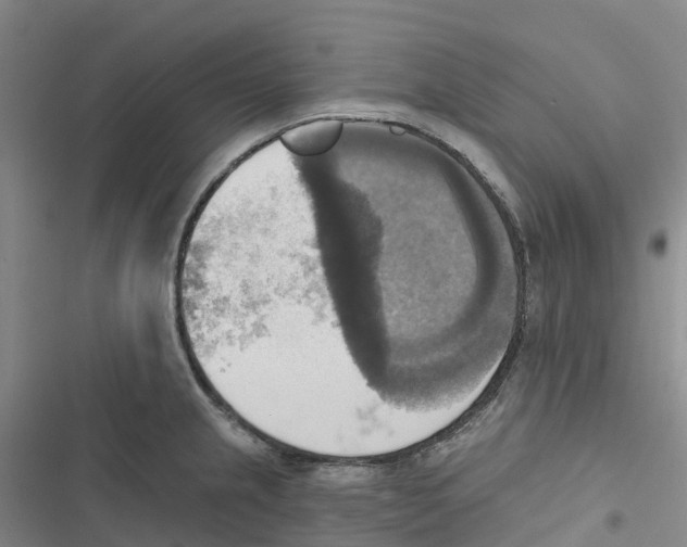 X0000116831237201001151219