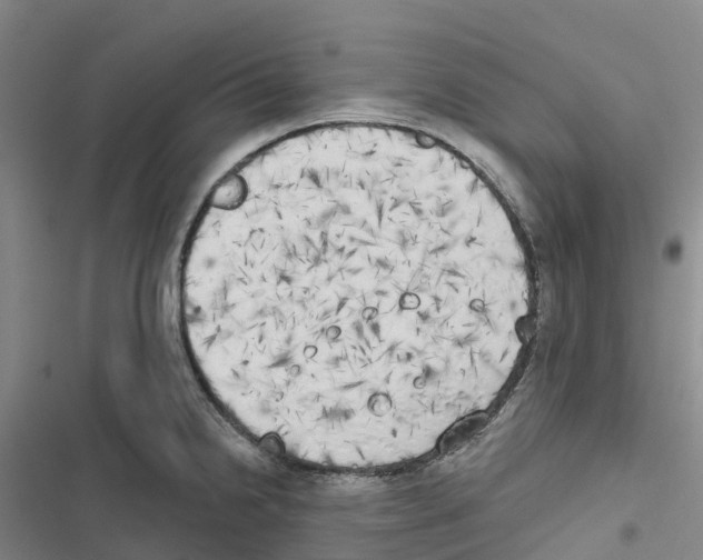 X0000116831238201001151219