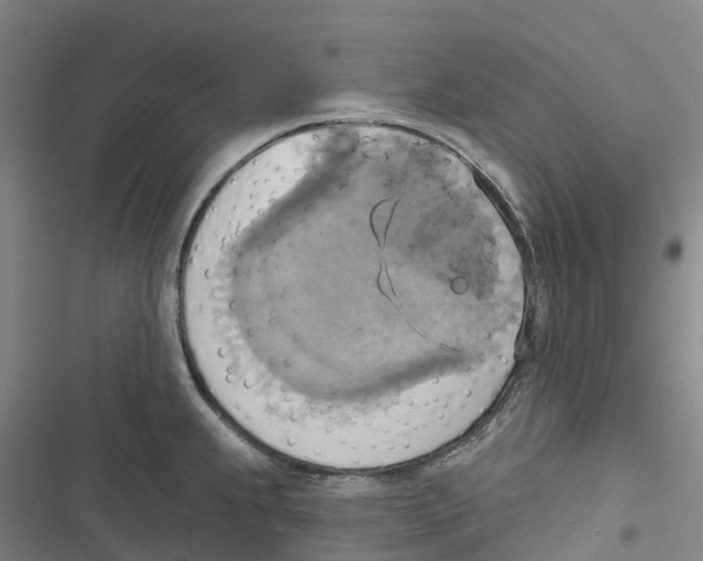 X0000116831239201001151219