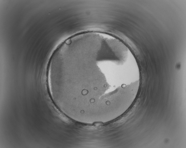 X0000116831240201001151219