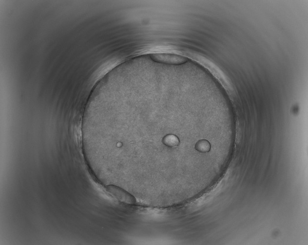 X0000116831241201001151219