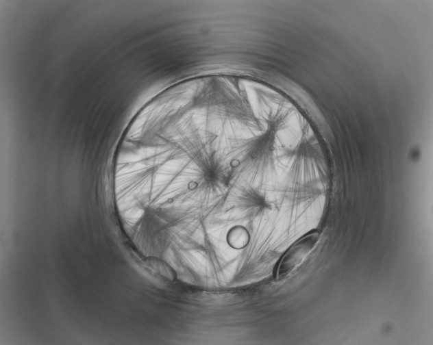 X0000116831242201001151219