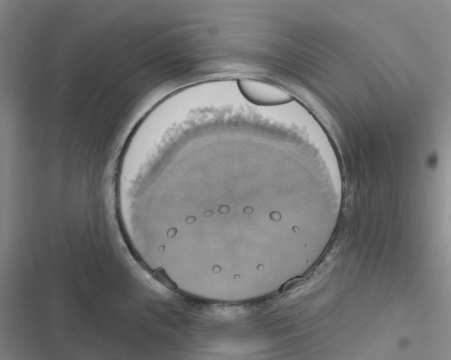 X0000116831243201001151219