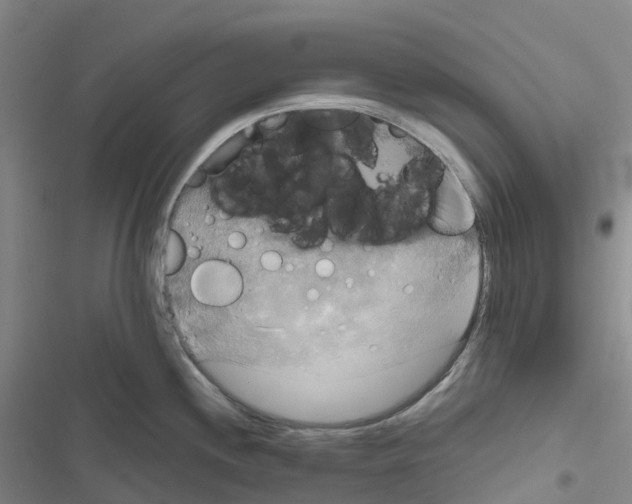 X0000116831244201001151219