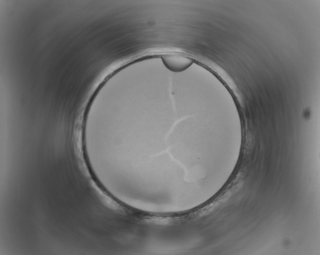 X0000116831245201001151219