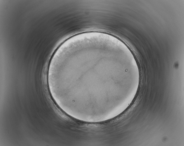 X0000116831246201001151220