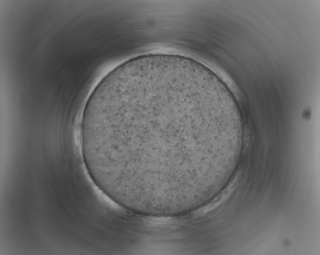 X0000116831247201001151220