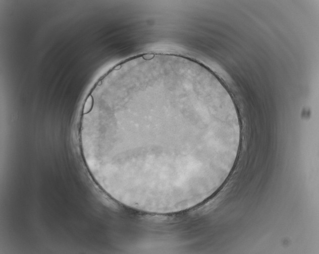 X0000116831248201001151220