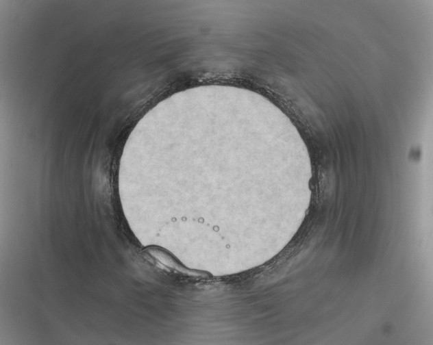 X0000116831250201001151219