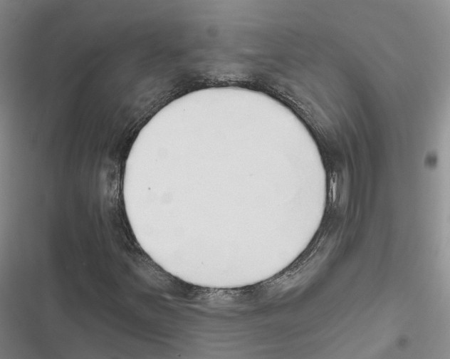 X0000116831251201001151219