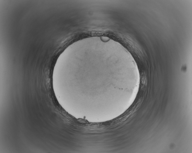 X0000116831252201001151219