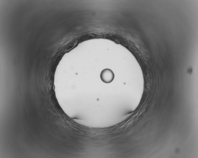 X0000116831253201001151219