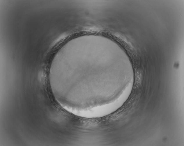 X0000116831254201001151219