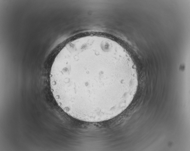 X0000116831255201001151219