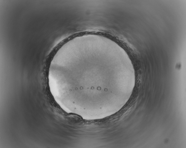 X0000116831256201001151219