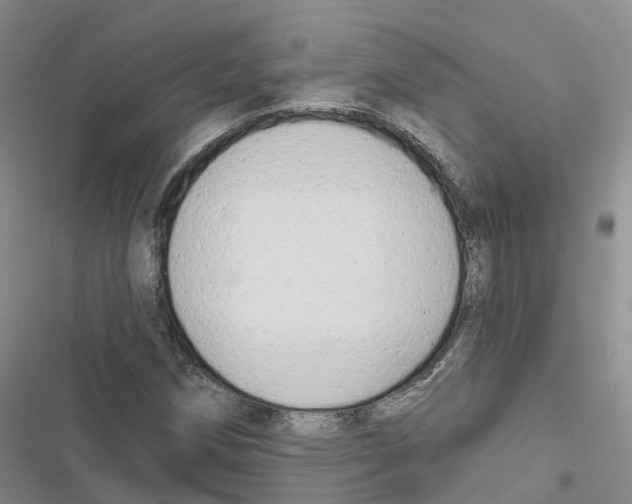 X0000116831258201001151219