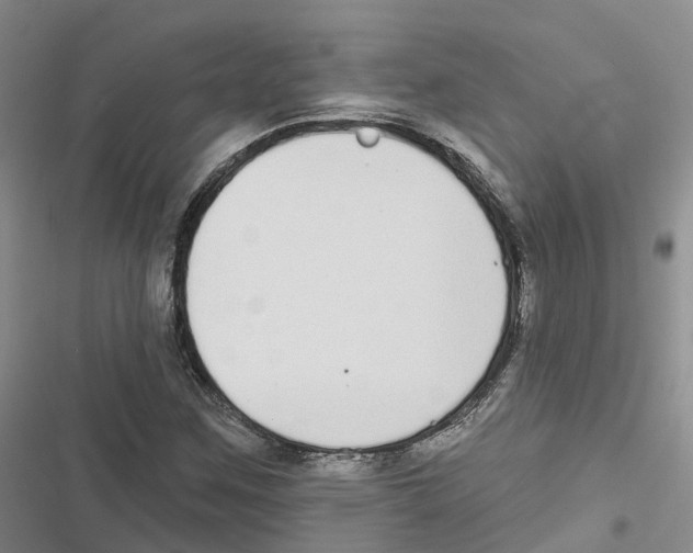 X0000116831259201001151219