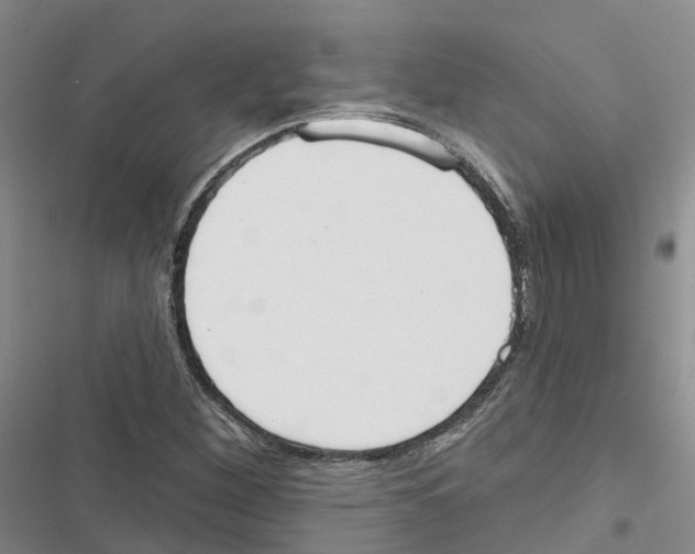 X0000116831260201001151219