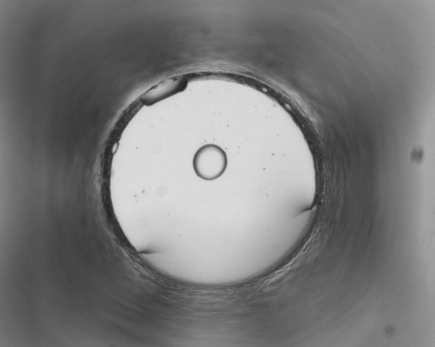 X0000116831264201001151219