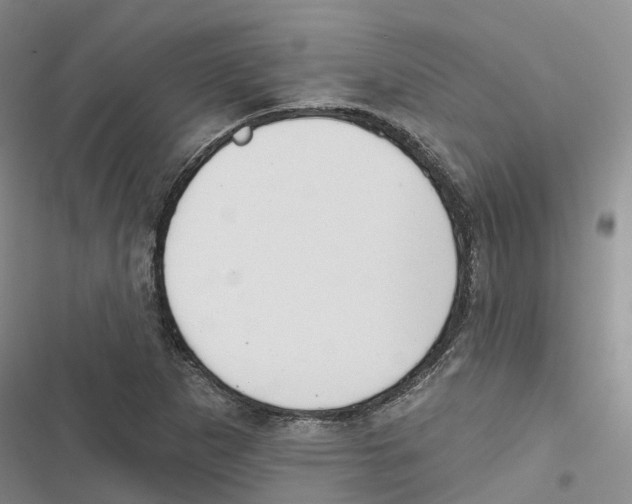 X0000116831265201001151219