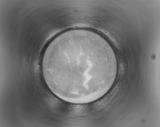 X0000116831266201001151219