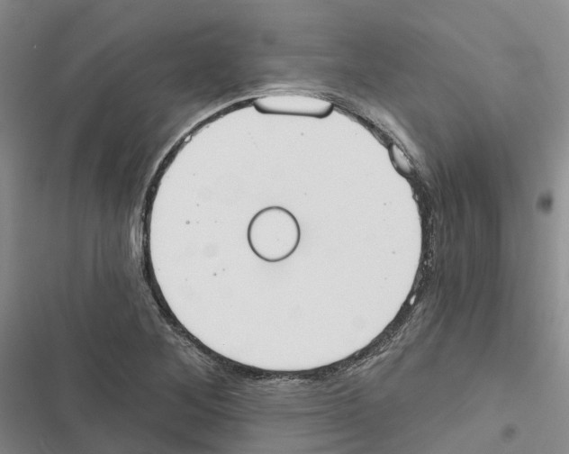 X0000116831268201001151219