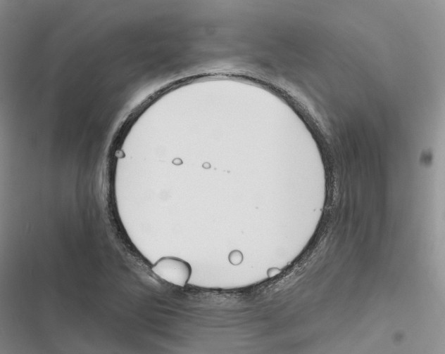 X0000116831270201001151219