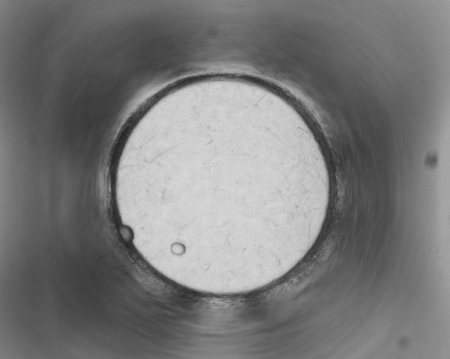 X0000116831271201001151219