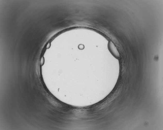 X0000116831272201001151219