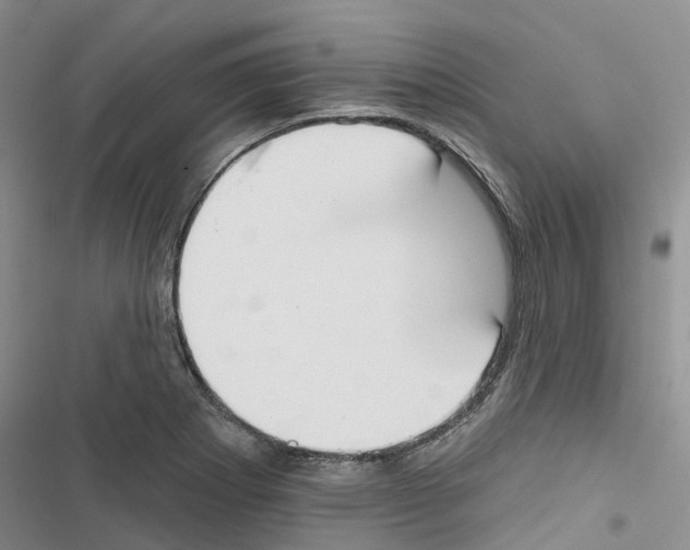 X0000116831273201001151219