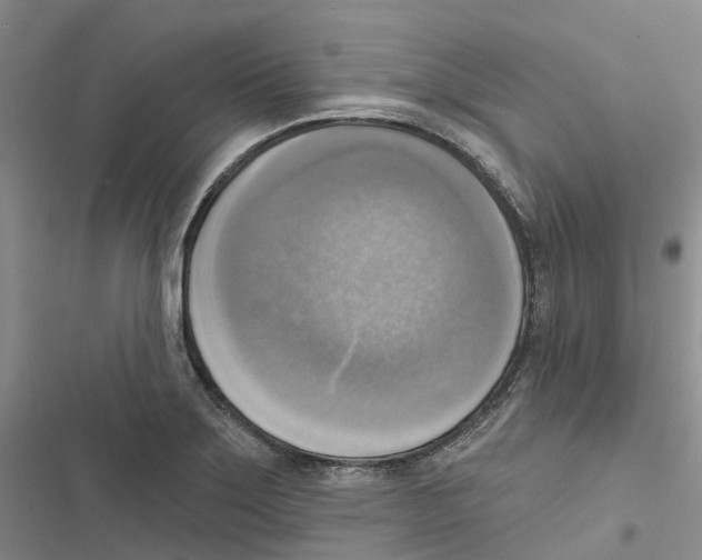 X0000116831275201001151219