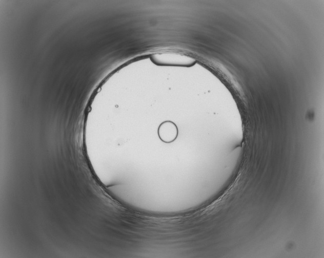 X0000116831276201001151219