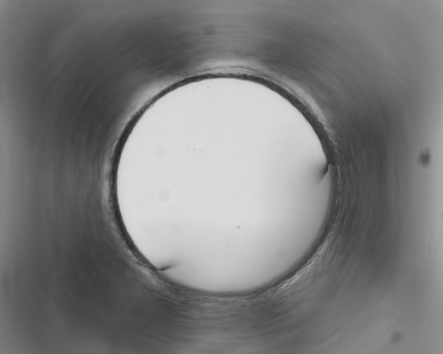 X0000116831277201001151218