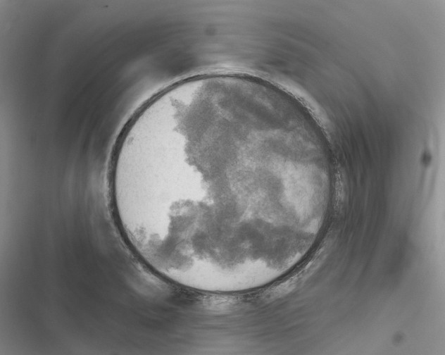 X0000116831278201001151218