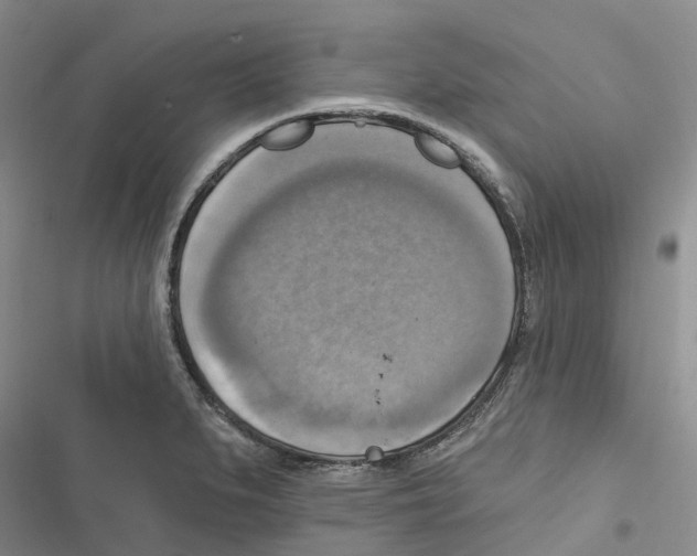 X0000116831279201001151218