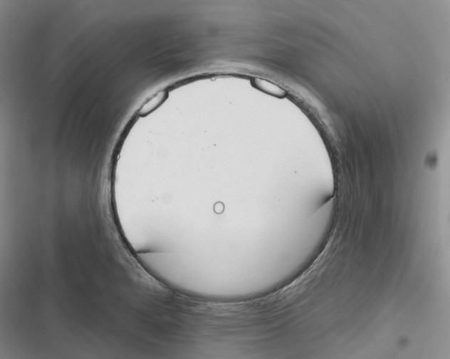 X0000116831280201001151218