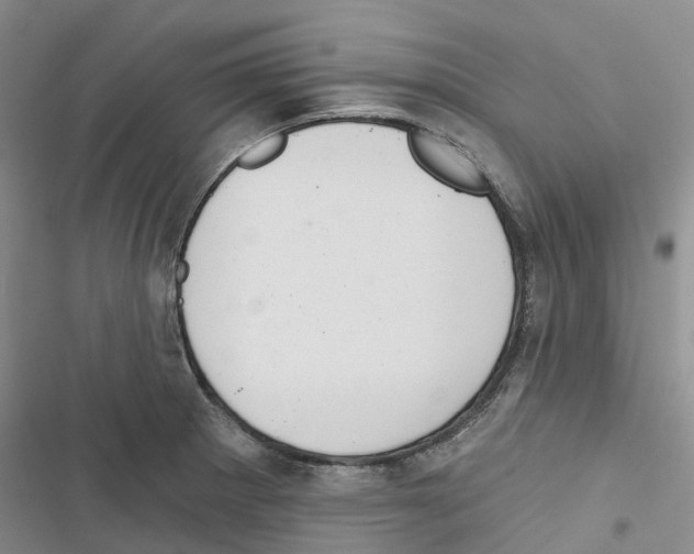 X0000116831281201001151218