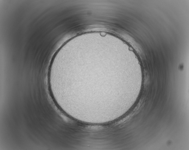 X0000116831282201001151218