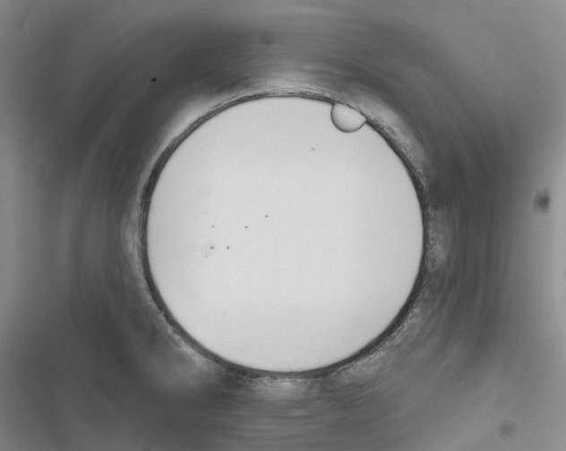 X0000116831286201001151218