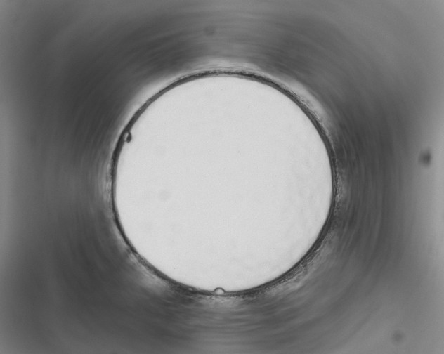 X0000116831287201001151218